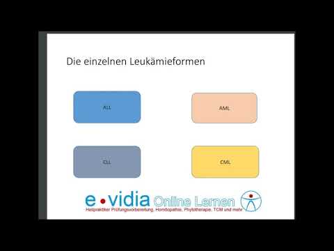 Leukämien Teil 2