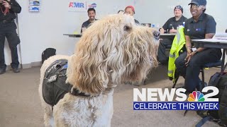 News 2 Celebrate This Week
