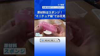 「一日中お花見が楽しめる」スポンジで作ったミニチュア桜｜TBS NEWS DIG #shorts