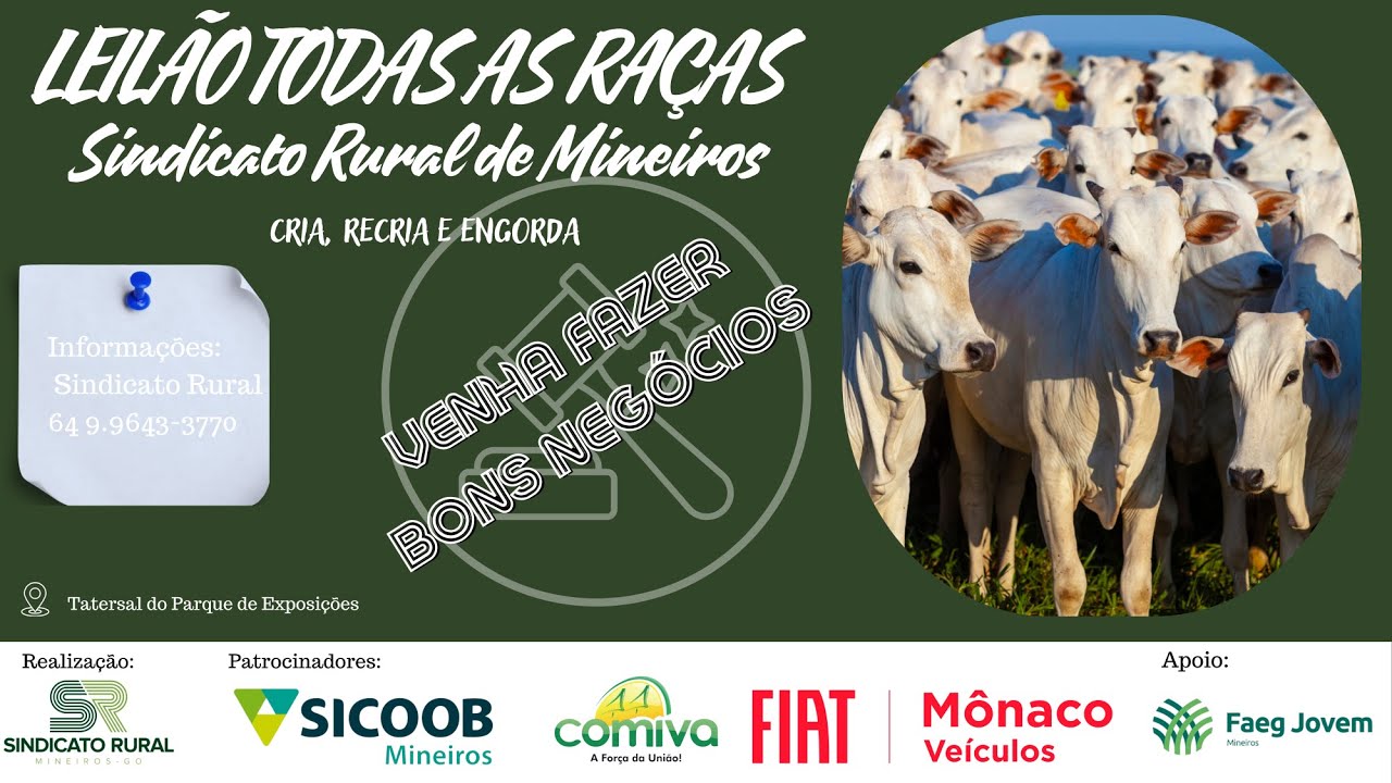 LEILÃO TODAS AS RAÇAS - MINEIROS-GO | 12/01/2026 | 19:30h