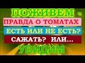 Вся правда о помидорах! Чем полезны и кому вредны!