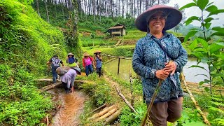 Pagi Berkabut Di Kampung Tertinggi. Sambut Senyum Ramah Penuh Keceriaan, Suasana Pedesaan Jawa Barat