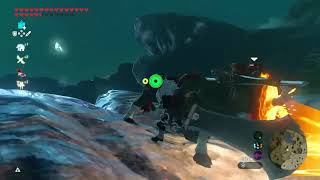How to tame a Lynel