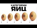 Какими бывают яйца | как хранить яйцо | яичный порошок, меланж, альбумин