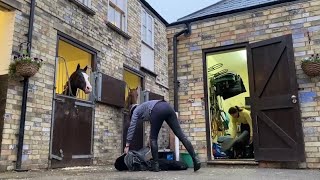 The Big Dream - Life as the smallest stable in Newmarket