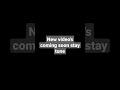 Stay Tune 
