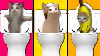 skibidi toilet but meme cats