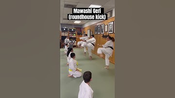 Mawashi Geri (roundhouse kick) #martialarts #karateclass #gojuryu #karate #karatekicks
