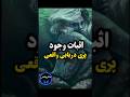 فیلم ضبط شده از یک پری دریایی 