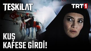 Türk İstihbaratını Aptal Yerine Koyduğum İçin Çok Pişmanım Teşkilat 5. Bölüm