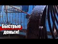 Быстрые деньги!↗️СТРАННЫЙ результат! Холодная ковка.