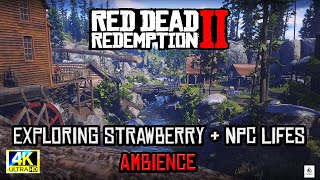 'Exploring Strawberry: Immersive NPC Encounters & Life in Red Dead Redemption 2'