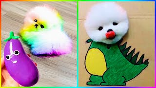 Pomeranian Reaction When Seeing Eggplant 🐾 Funny and Cute Dogs 🤣 #518 by Min Cute 13,701 views 1 month ago 9 minutes, 16 seconds