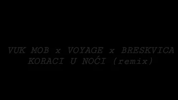 VUK MOB x VOYAGE x BRESKVICA - KORACI U NOĆI (remix)