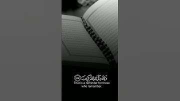 اسلام صبحي | تلاوة خاشعة ( وَأَقِمِ الصَّلَاةَ طَرَفَيِ النَّهَارِ وَزُلَفًا مِّنَ اللَّيْلِ ۚ )