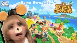 BACK TO ANIMAL CROSSING~~【Hamu Stream 77】