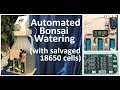 Automated Bonsai Watering with salvaged 18650 cells