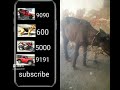 Indian bike driving 3D new cheat code in Indian bike driving 3D #gaming #shorts #viral