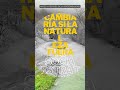 Qué cambiaría en tu finca si la naturaleza fuera tu socia estratégica? #regeneration  #naturaleza