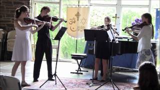 Video thumbnail of "Cavatina by Dvorak"