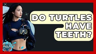 Do Turtles Have Teeth? - The Marine Life Explorer