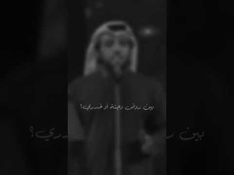     عيضه المنهالي قمره اكسبلور فنان