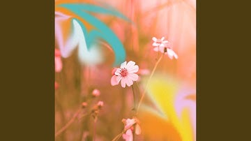 Simplistic Ambiance for Talk Lost