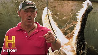 Swamp People Troys Mive Gator Catch Saves The Day Season 13 History