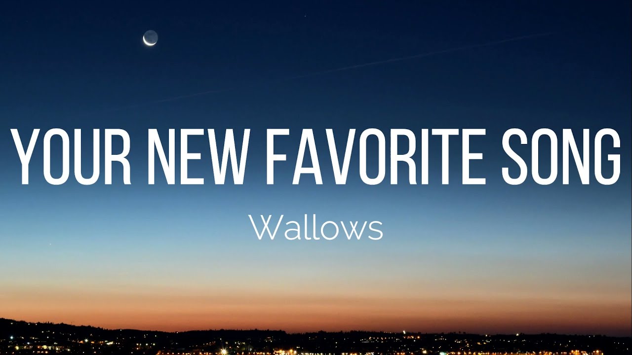 Wallows - Your New Favorite Song (Lyrics) - YouTube