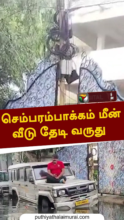 செம்பரம்பாக்கம் மீன் வீடு தேடி வருது #shorts #Mansoor Ali Khan #rainwater