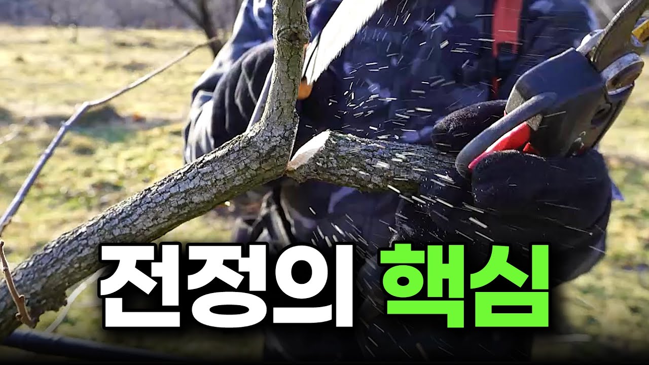 아끼면 x된다 l 자를수록 잘 자라는 이치 ㅣ 생력화사업