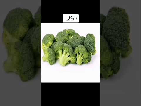 وجبات ترفع الخصوبة عند الطيورMeals That Raise Fertility In Birds