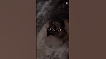 اصحاب القران الكريم بصوت جميل #اكسبلور #المصحف #راحة_نفسية