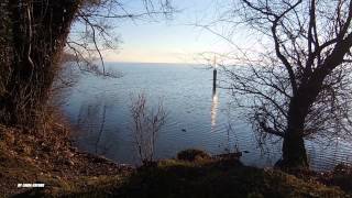 MEISTERSCHWANDEN -SCHWEIZ