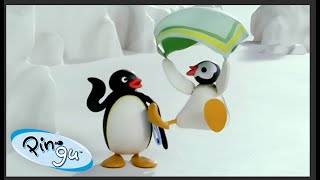 Pingu Goes On Trips 🐧 | Pingu - Official Channel | Cartoons For Kids