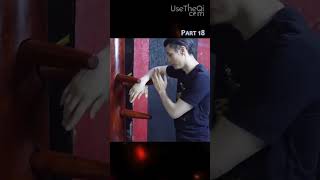 Wing Chun Technique Glossary for Wooden Dummy Training  Part 17 #shorts