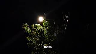 Aşk Bodrumda yaşanıyor, güzelim) #huseynlyrics1 #kesfetteyiz #bodrum  #daha17 #bülentserttaş 