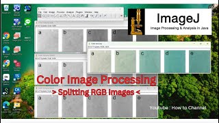 How to create RGB Images for Color Image Processing - Image J
