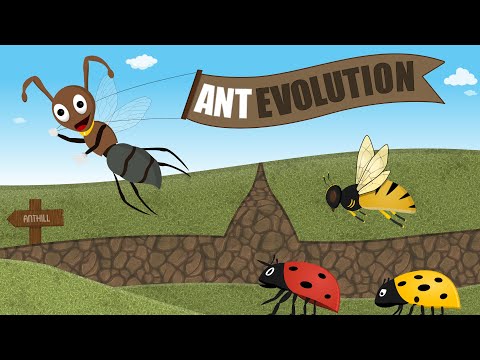Ant Evolution: Kehidupan Serangga