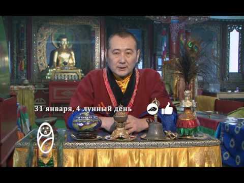 Зурхай 31 января