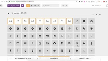 How to use Icomoon icon sets in the Divi theme