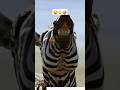 ضحكة ألحمار على الاسد رخرخة مياجينه Shorts ضحكة ألحمار على الاسد رخرخة مياجينه Shorts