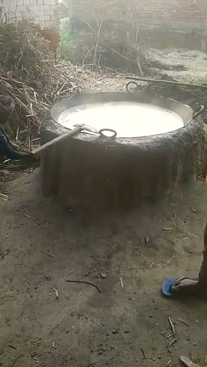 ganna ras perai kolhui village morning#shorts #viral #village #ganna #tiktok #modhi #yogi #ankit
