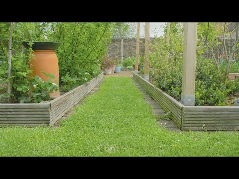 Video: Kuřecí Hnůj Je Vynikající Hnojivo Pro Zahradu