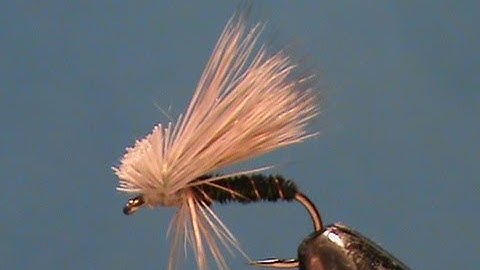 Fly Tying an Olive Pheasant Tail Caddis with Jim Misiura