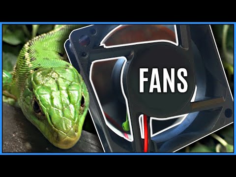 Vivarium Ventilation: STOP Overheating Reptile Enclosures! - Fans & Vent Placement for Reptiles