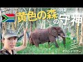 Day1&2「サファリガイド訓練学校」を短期体験!アフリカ現地日本語ガイド太田ゆかと行く!