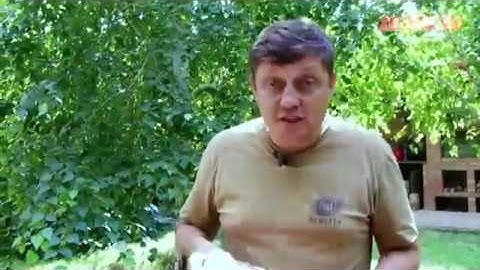 Сало в рассоле – такого вы еще не пробовали