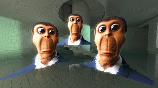 obunga goes swimming in 4k