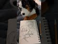 Draw with me and Koda! #essa #essacommunity #drawing #miraculous #art